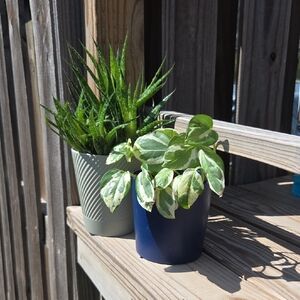 Angled Striped 4.5" Plastic Planter Set Of Two